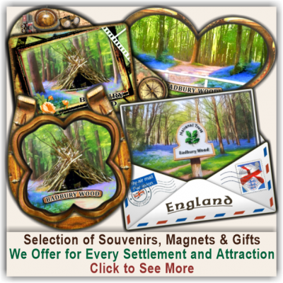Badbury Wood Selected Hit Souvenirs Badbury Wood Selected Hit Souvenirs