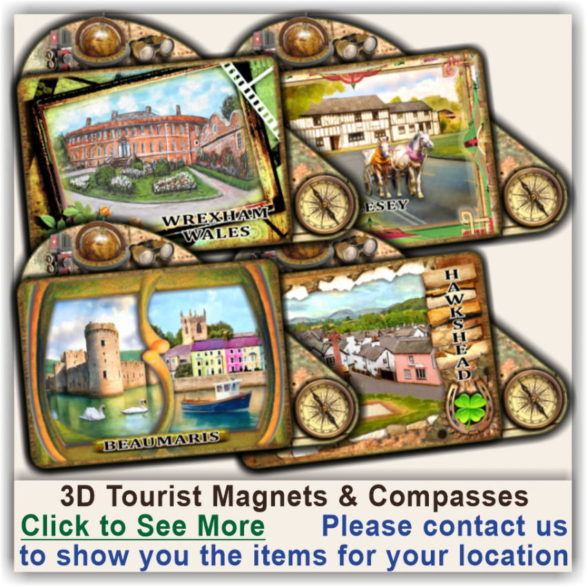 Chichester, West Sussex Wooden Magnets & Compasses 11